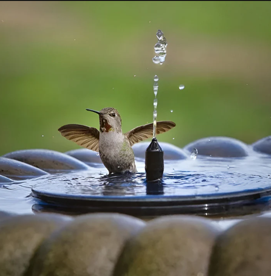 BirdCare™ Solar-Powered Fountain Kit
