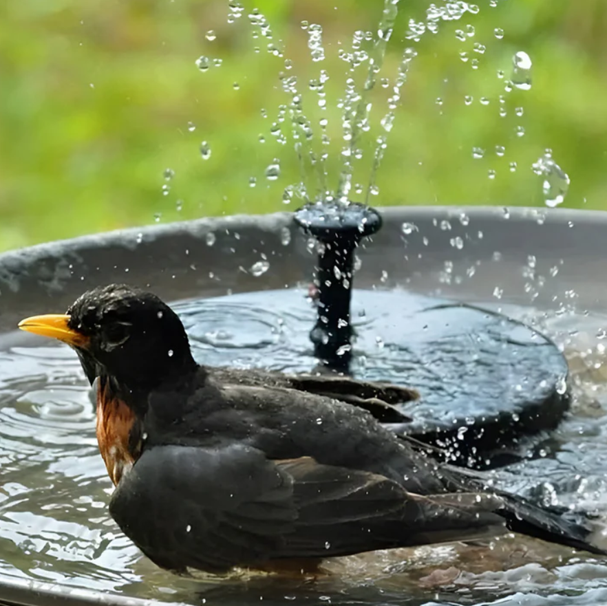 BirdCare™ Solar-Powered Fountain Kit