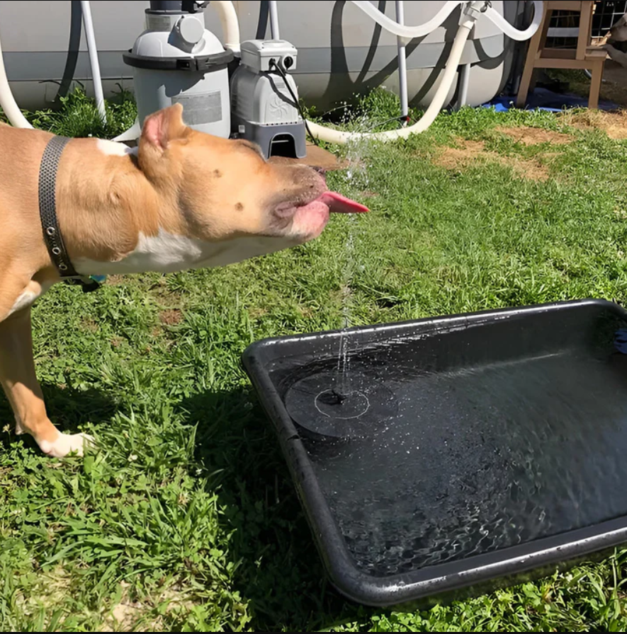 BirdCare™ Solar-Powered Fountain Kit