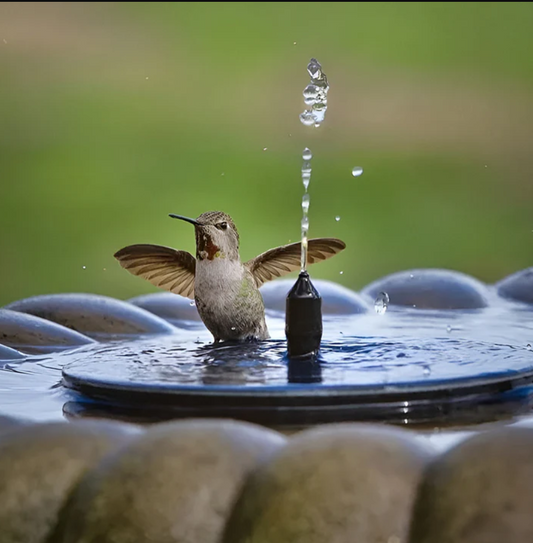 BirdCare™ Solar-Powered Fountain Kit