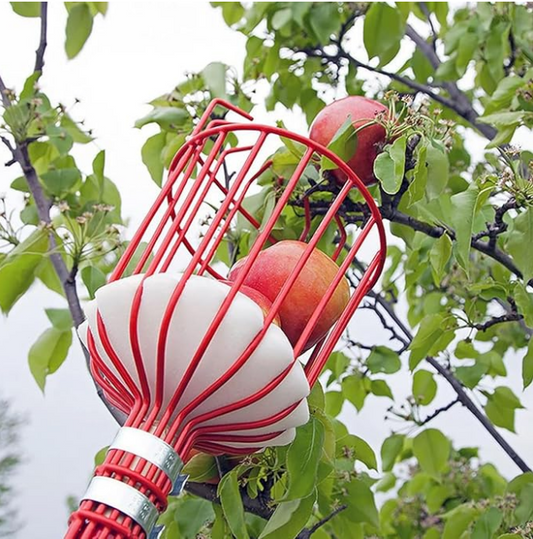 Fruit Picker with Basket